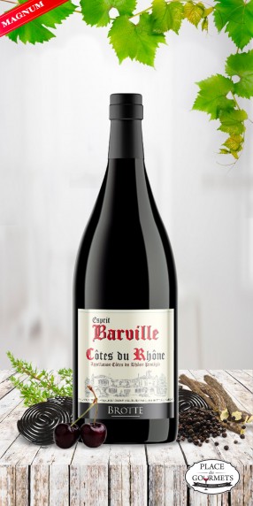 Magnum Esprit de Barville vin Côtes du Rhône
